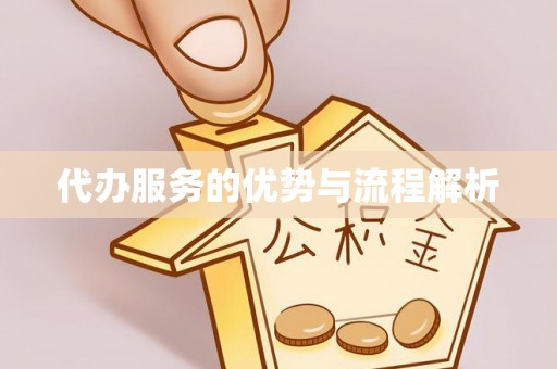 澄迈代办服务的优势与流程解析