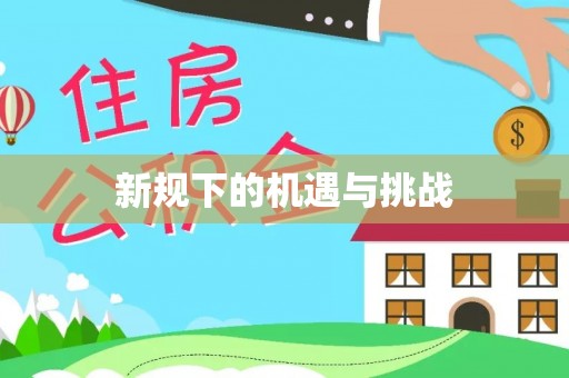 澄迈新规下的机遇与挑战