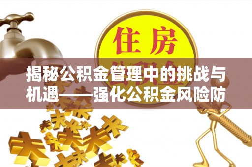 澄迈揭秘公积金管理中的挑战与机遇——强化公积金风险防控的多维策略