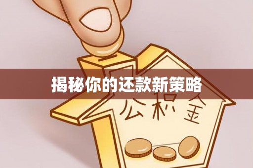 澄迈揭秘你的还款新策略
