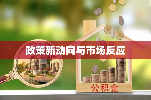 澄迈政策新动向与市场反应