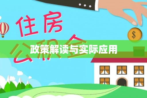澄迈政策解读与实际应用