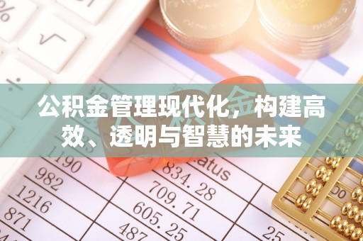 澄迈公积金管理现代化，构建高效、透明与智慧的未来