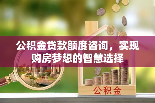 澄迈公积金贷款额度咨询，实现购房梦想的智慧选择