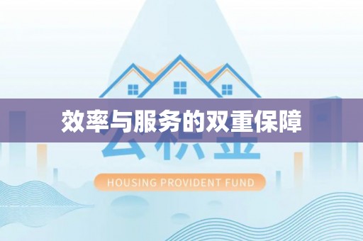 澄迈效率与服务的双重保障
