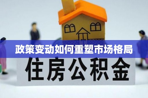 澄迈政策变动如何重塑市场格局