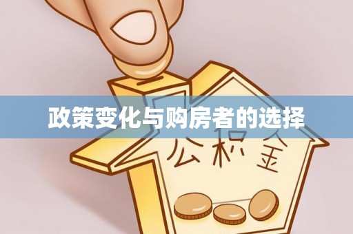 澄迈政策变化与购房者的选择
