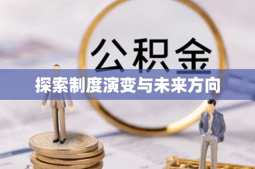 澄迈探索制度演变与未来方向