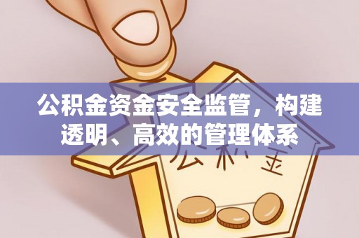 澄迈公积金资金安全监管，构建透明、高效的管理体系