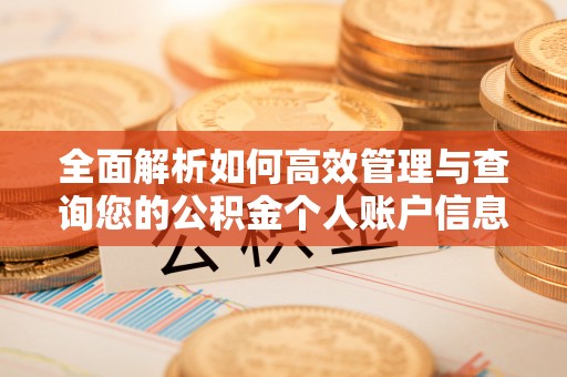 澄迈全面解析如何高效管理与查询您的公积金个人账户信息