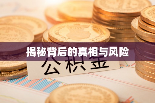 澄迈揭秘背后的真相与风险