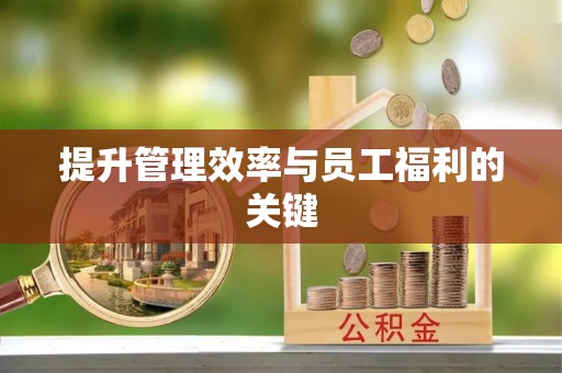 澄迈提升管理效率与员工福利的关键