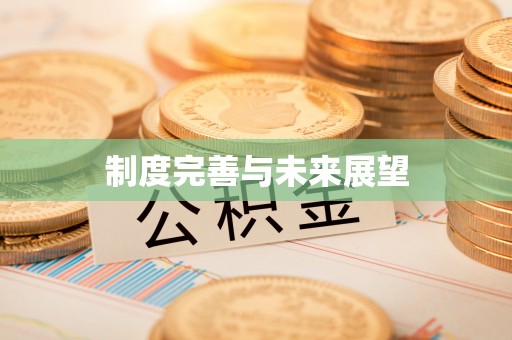 澄迈制度完善与未来展望