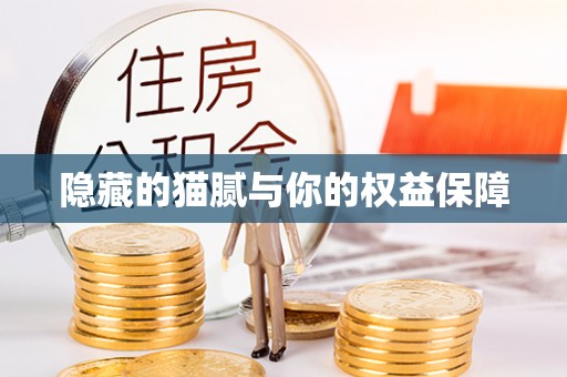 澄迈隐藏的猫腻与你的权益保障