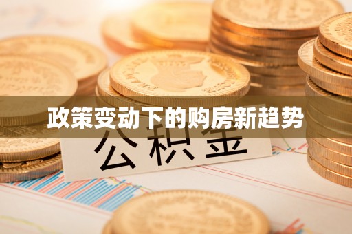 澄迈政策变动下的购房新趋势