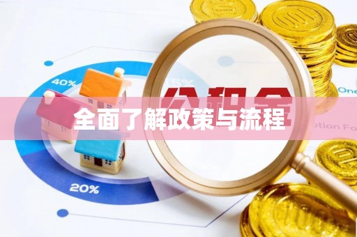 澄迈全面了解政策与流程