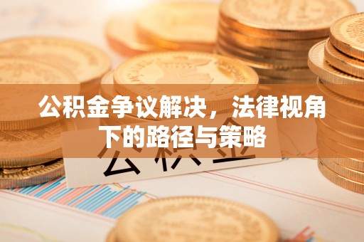 澄迈公积金争议解决，法律视角下的路径与策略
