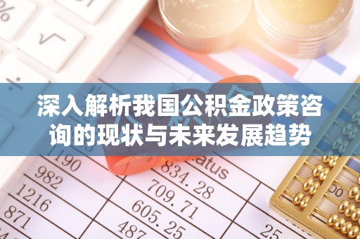 澄迈深入解析我国公积金政策咨询的现状与未来发展趋势