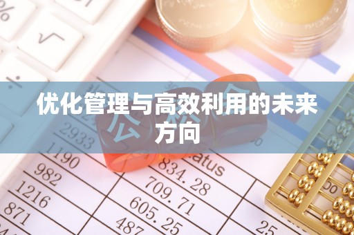 澄迈优化管理与高效利用的未来方向