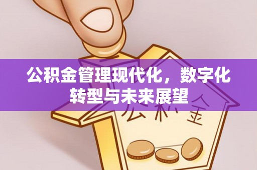 澄迈公积金管理现代化，数字化转型与未来展望
