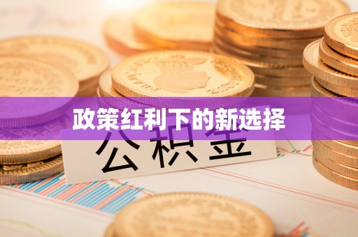 澄迈政策红利下的新选择