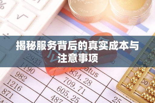澄迈揭秘服务背后的真实成本与注意事项