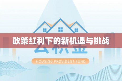 澄迈政策红利下的新机遇与挑战