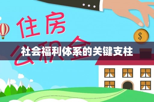 澄迈社会福利体系的关键支柱