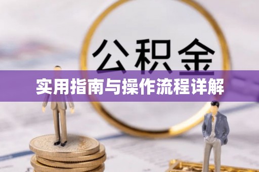 澄迈实用指南与操作流程详解