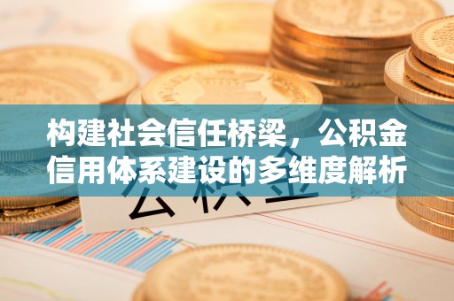 澄迈构建社会信任桥梁，公积金信用体系建设的多维度解析