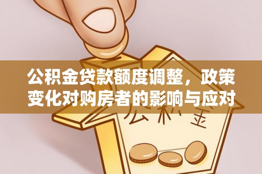 澄迈公积金贷款额度调整，政策变化对购房者的影响与应对策略