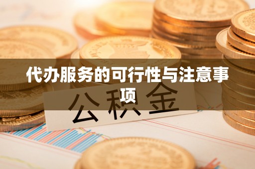 澄迈代办服务的可行性与注意事项