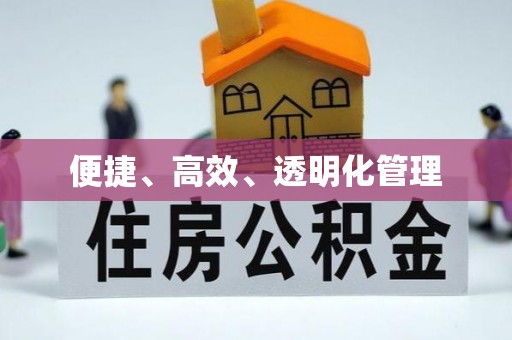 澄迈便捷、高效、透明化管理