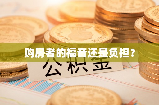 澄迈购房者的福音还是负担？
