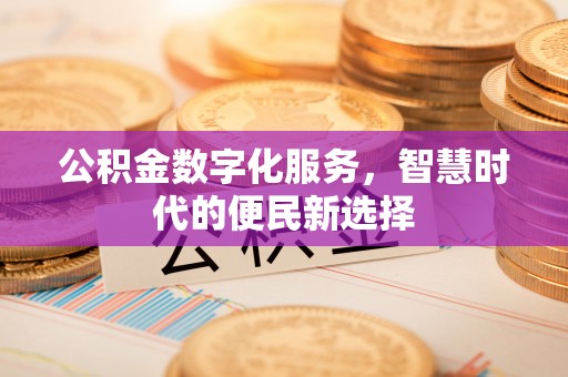 澄迈公积金数字化服务，智慧时代的便民新选择
