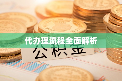 澄迈代办理流程全面解析