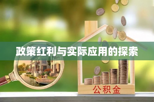澄迈政策红利与实际应用的探索