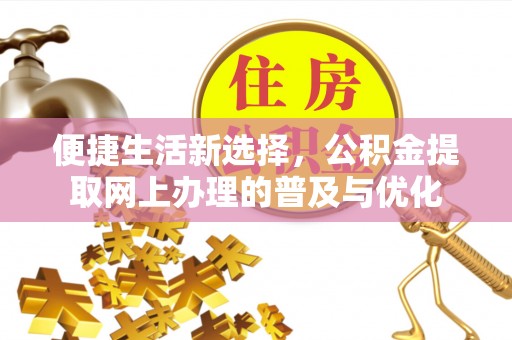 澄迈便捷生活新选择，公积金提取网上办理的普及与优化