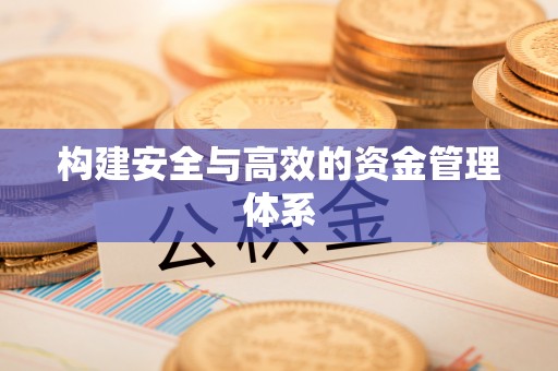 澄迈构建安全与高效的资金管理体系