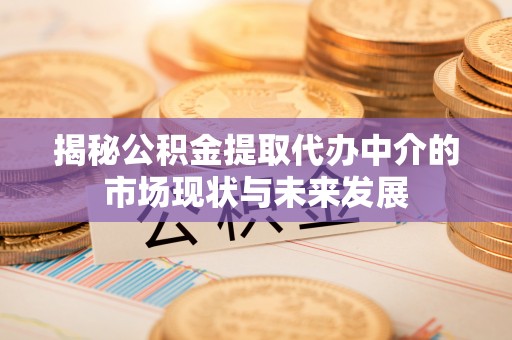 澄迈揭秘公积金提取代办中介的市场现状与未来发展