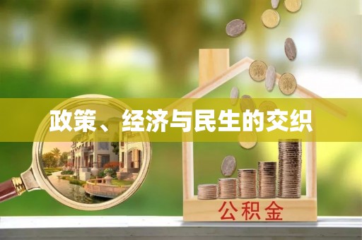 澄迈政策、经济与民生的交织