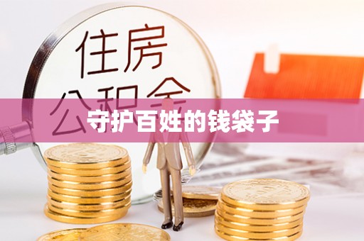 澄迈守护百姓的钱袋子