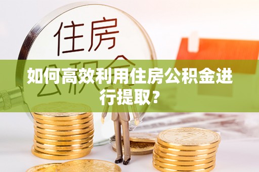澄迈如何高效利用住房公积金进行提取？