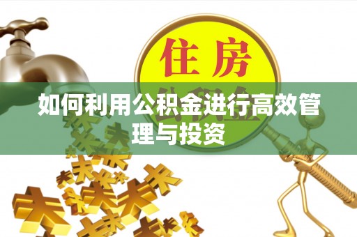 澄迈如何利用公积金进行高效管理与投资