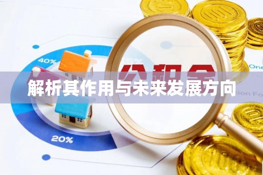 澄迈解析其作用与未来发展方向