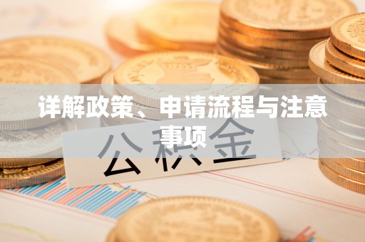 澄迈详解政策、申请流程与注意事项